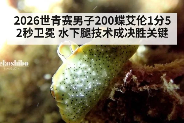 2026世青赛男子200蝶艾伦1分52秒卫冕 水下腿技术成决胜关键