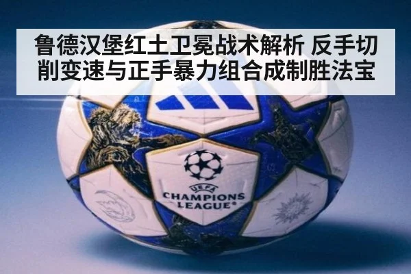 鲁德汉堡红土卫冕战术解析 反手切削变速与正手暴力组合成制胜法宝